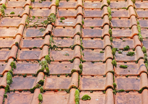 Expert Roof Inspections for Home Buyers in McLean